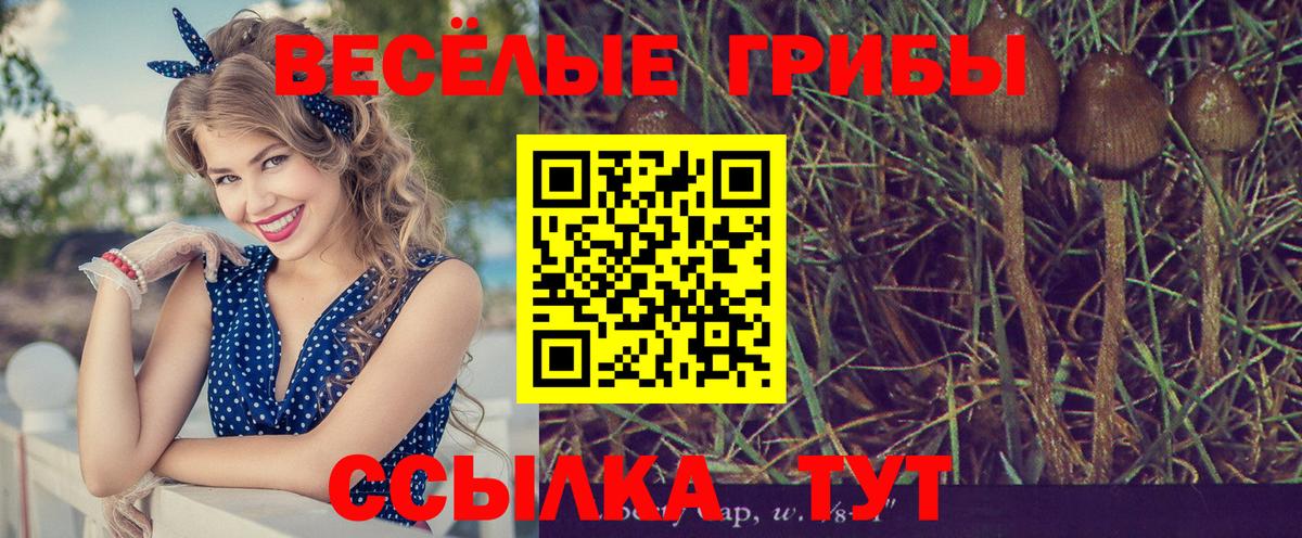 Галлюциногенные грибы Psilocybine cubensis  Галлюциногенные грибы GOLDEN TEACHER  Вход с VPN  Карачаевск 