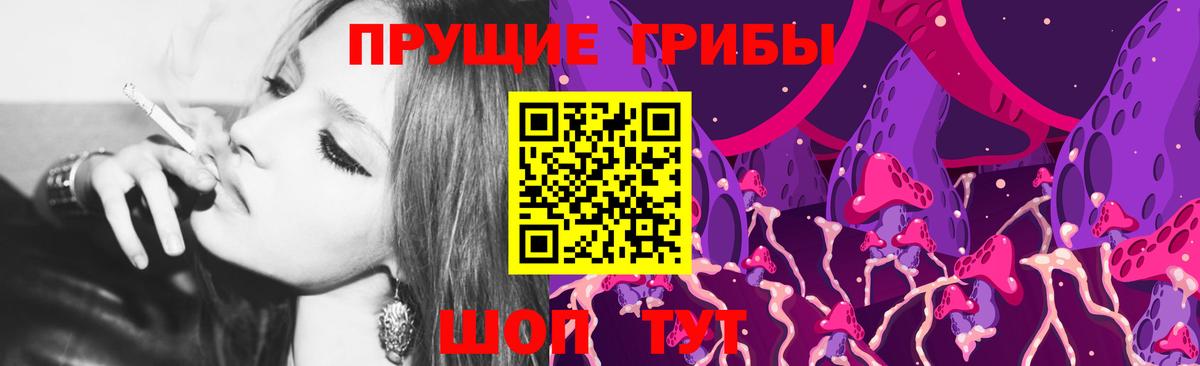 Конопля Карачаевск
